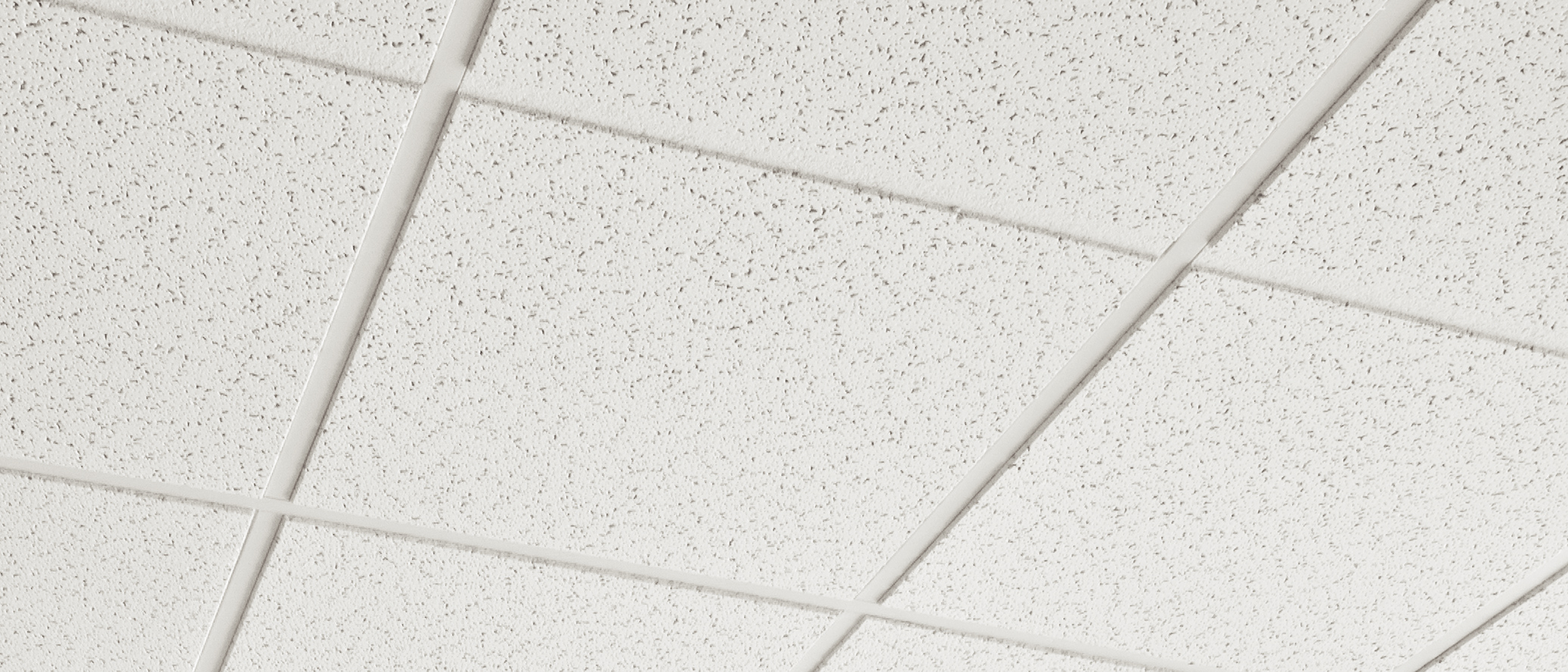 FINE FISSURED LAY-IN BRANCO